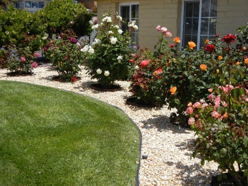 Seaside Inn Monterey image 5